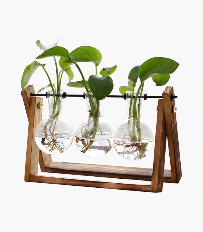 Untitled design (16) FLOWER Plant Terrarium - Image 1